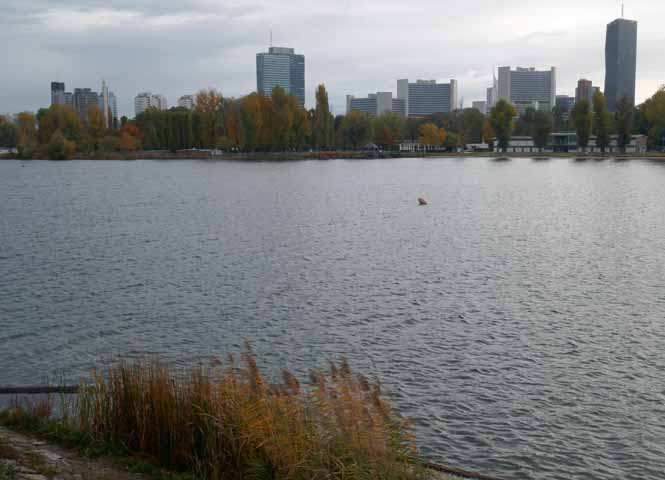 Alte Donau