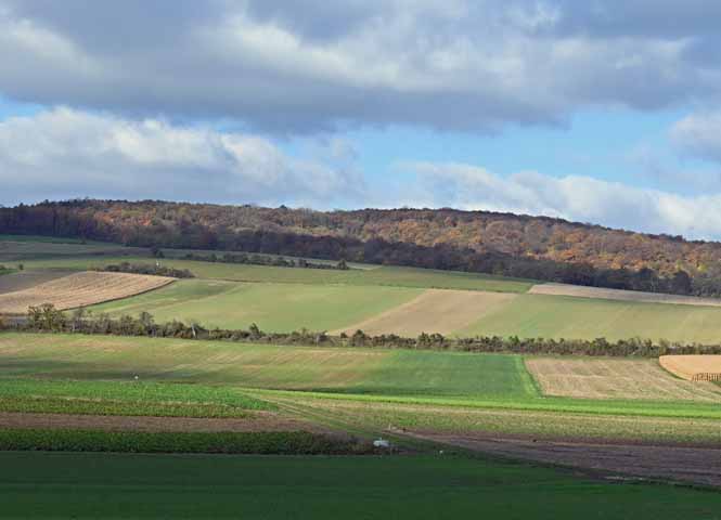 Waschberg