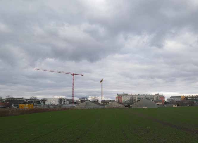 Donaufeld