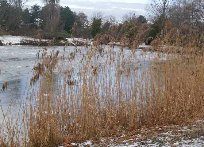 Wasserpark