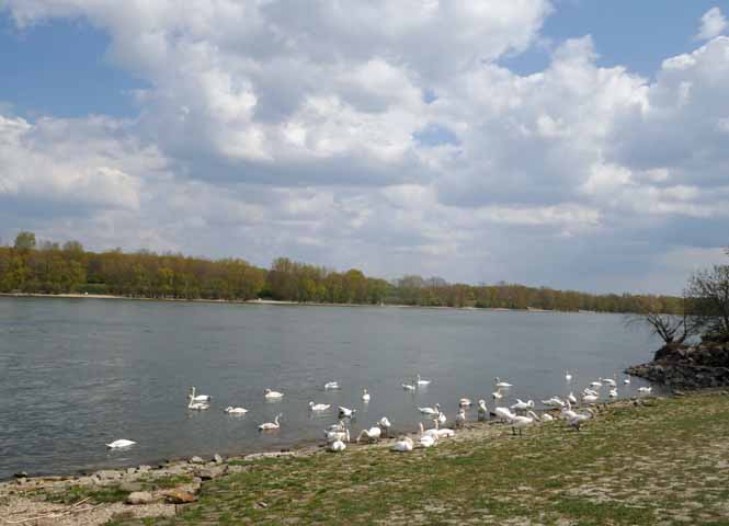 Donau