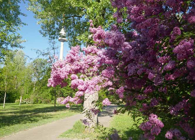 Donaupark