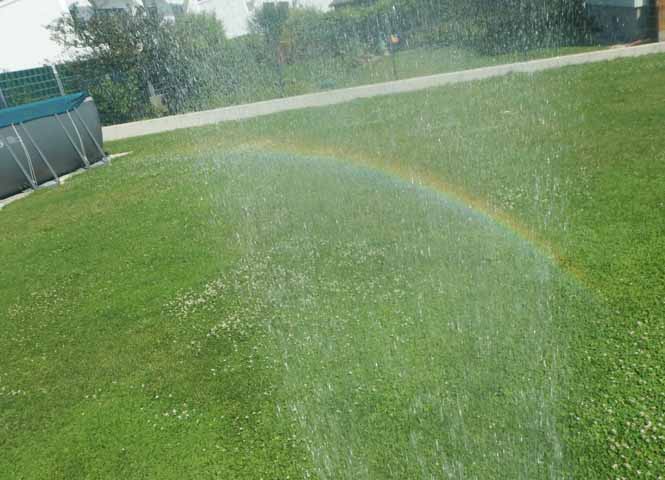 Regenbogen