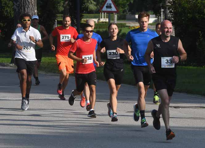 Wiener Sommerlaufcup