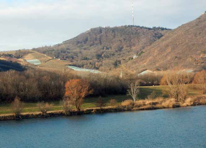 Kahlenberg