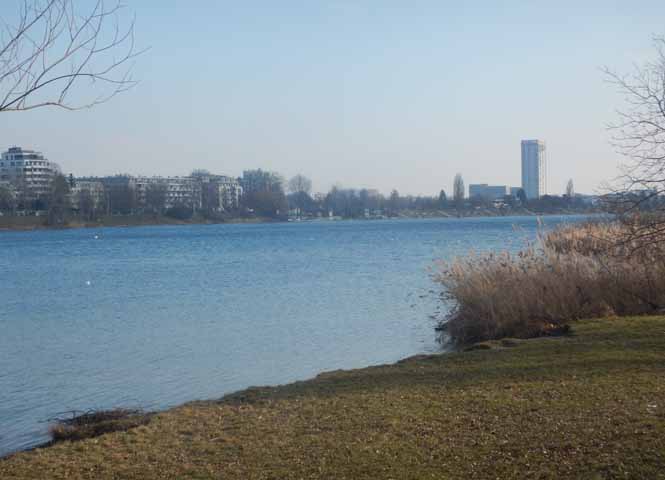 Alte Donau