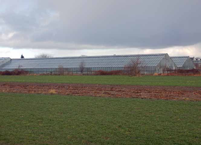 Donaufeld