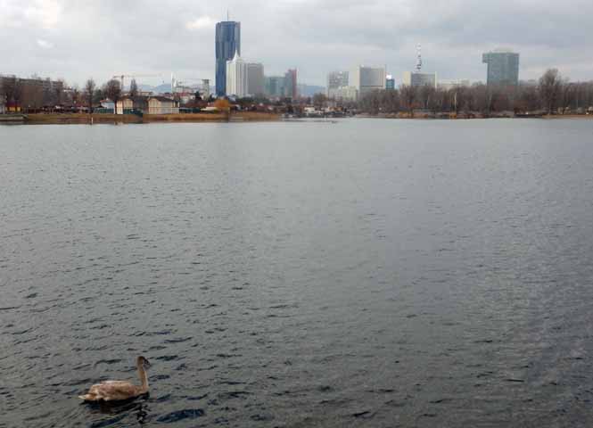 Alte Donau