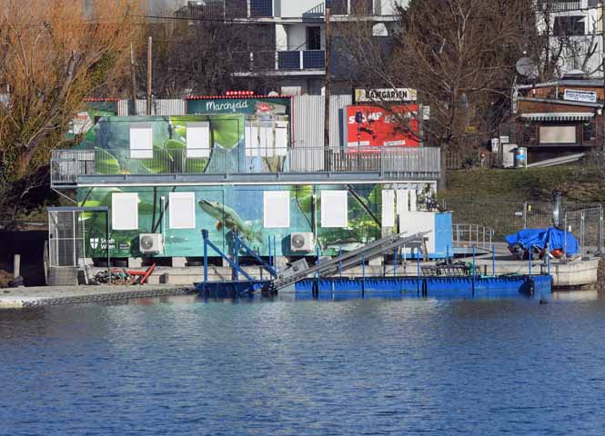 Alte Donau