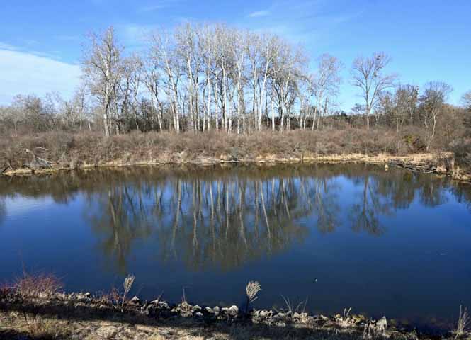 Lobau