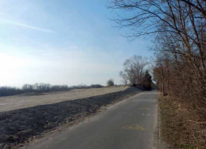 An der neuen Donau