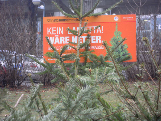 Foto vom 11. Jnner 2011 - Christbaumsammelstelle