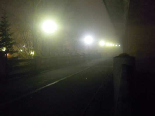 Foto vom 17. Jnner 2011 - Am Nordbahndamm im Nebel