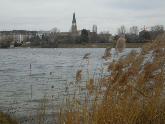 Foto vom 22. Jnner 2011 - Alte Donau, Donaufeld