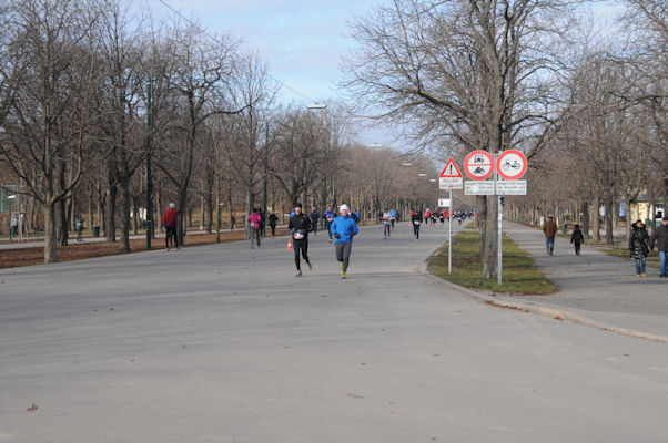 Foto vom 23. Jnner 2011 - Praterhaupallee