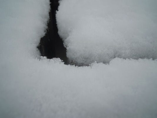 Foto vom 25. Jänner 2011 - Schnee