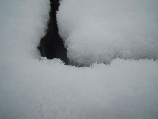 Foto vom 25. Jnner 2011 - Schnee