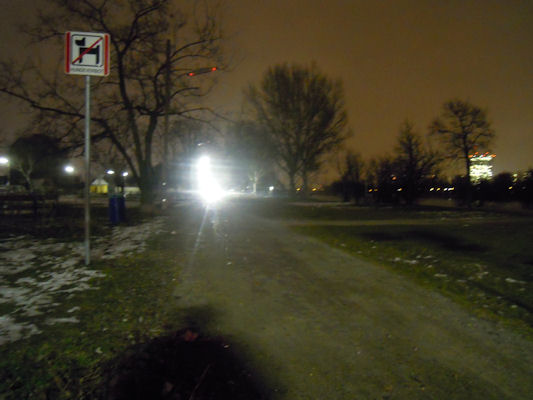 Foto vom 2. Februar 2011 - An der oberen Alten Donau
