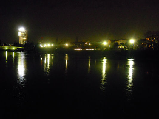 Foto vom 4. Februar 2011 - Alte Donau