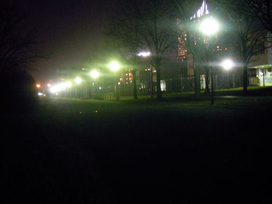 Foto vom 9. Februar 2011 - Rudolf Nurejew Promenade