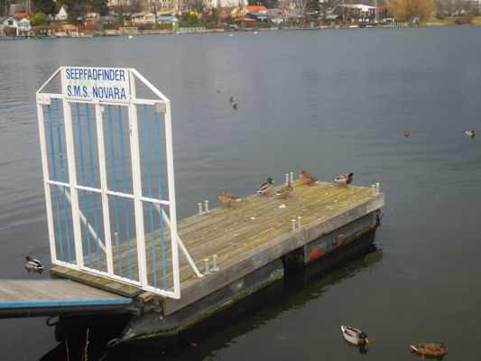 Foto vom 11. Februar 2011 - Enten am Steg
