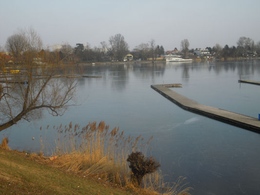 Foto vom 25. Februar 2011 - Alte Donaue