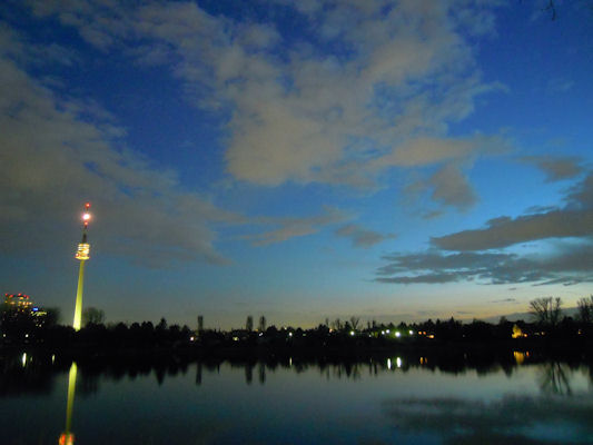 Foto vom 14. Mrz 2011 - Alte Donau
