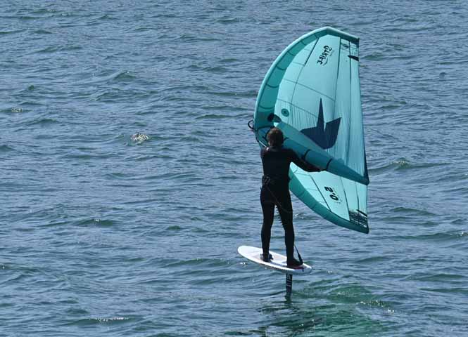 Windsurfer