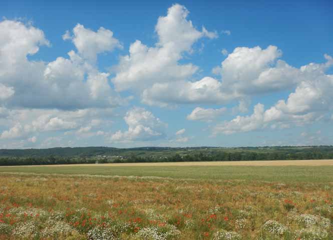 Weinviertel