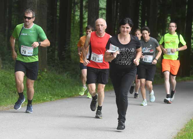 Friedenslauf Reingers