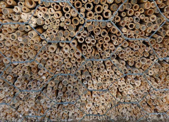 Insektenhotel