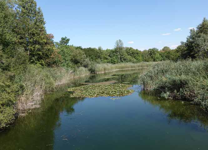 Himmelteich