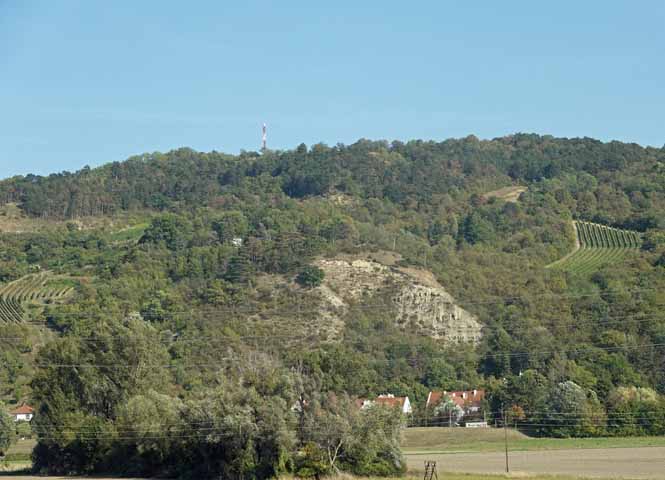 Bisamberg