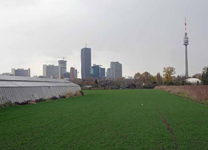 Donaufeld