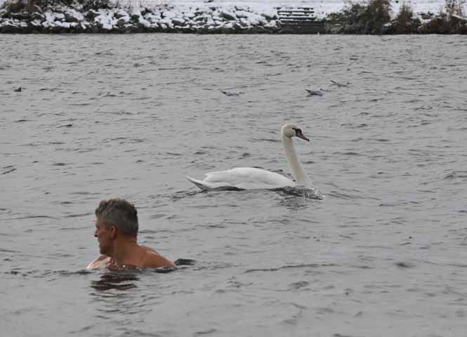 Eisschwimmen