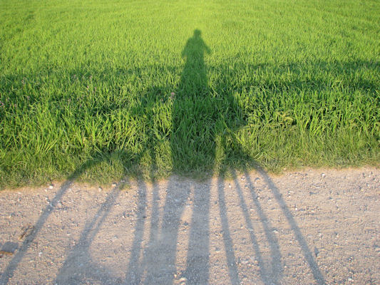 Foto vom 22. April 2011 - Mein Schatten