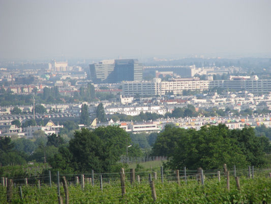 Foto vom 20. Mai 2011 - Blick vom Bisamberg