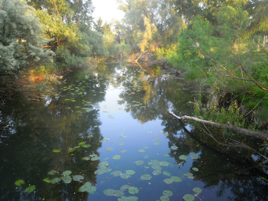 Foto vom 23. Mai 2011 - Kaiserwasser