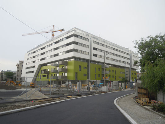 Foto vom 27. Mai 2011 - Satzingerweg