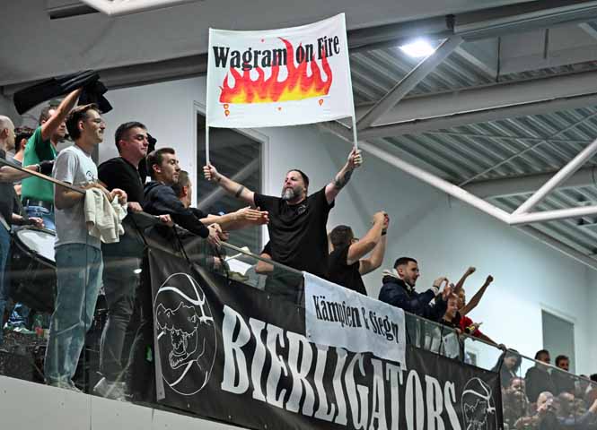 Bierligators