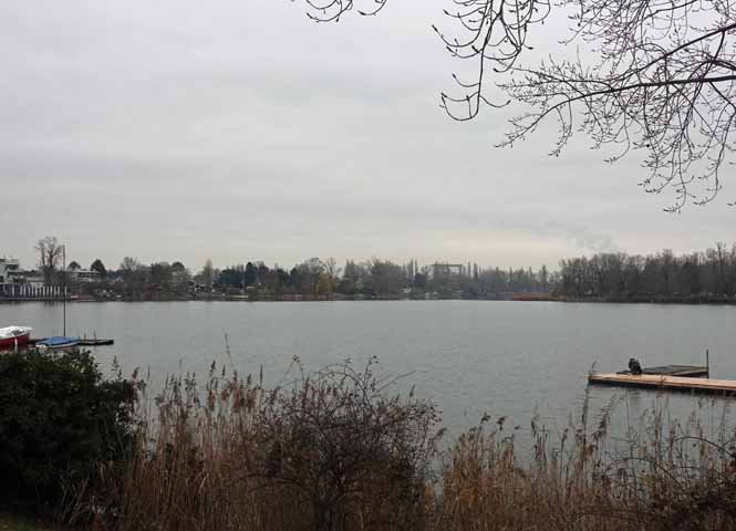Alte Donau