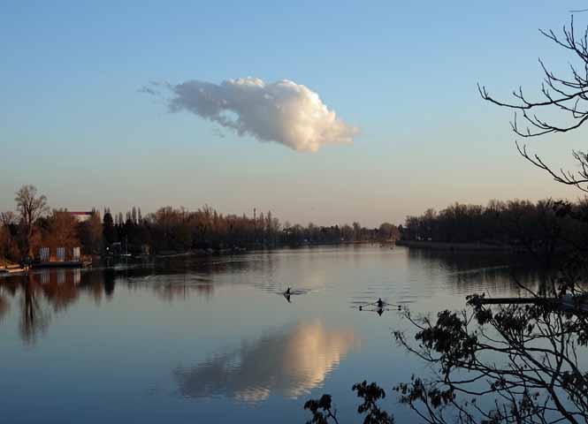 Alte Donau