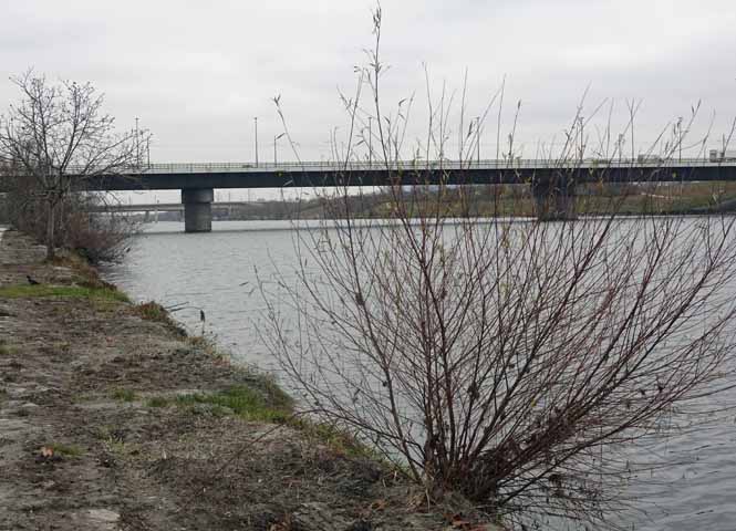 Neue Donau