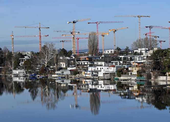 Foto des Tages