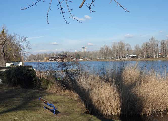 Alte Donau