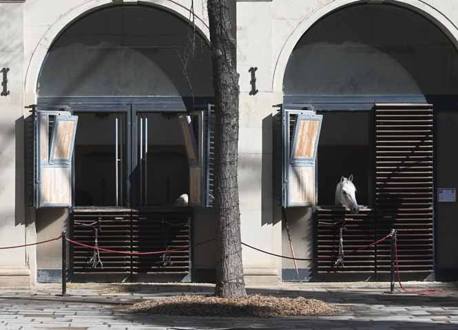 Spanische Hofreitschule
