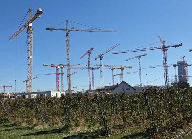 Donaufeld
