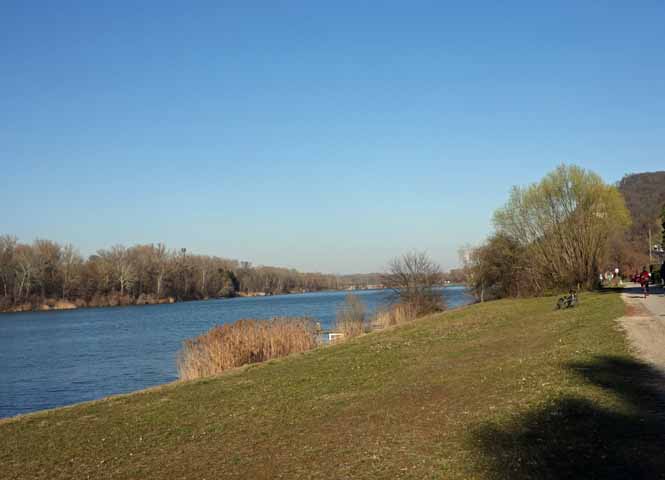Greifenstein