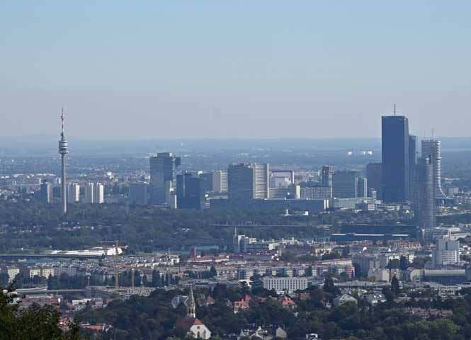 Foto des Tages