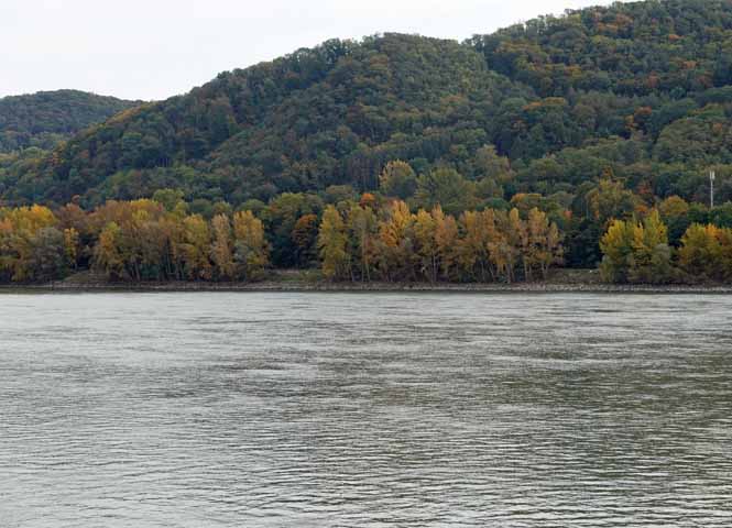 Donau